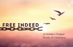 Free Indeed: A Study of Galatians banner