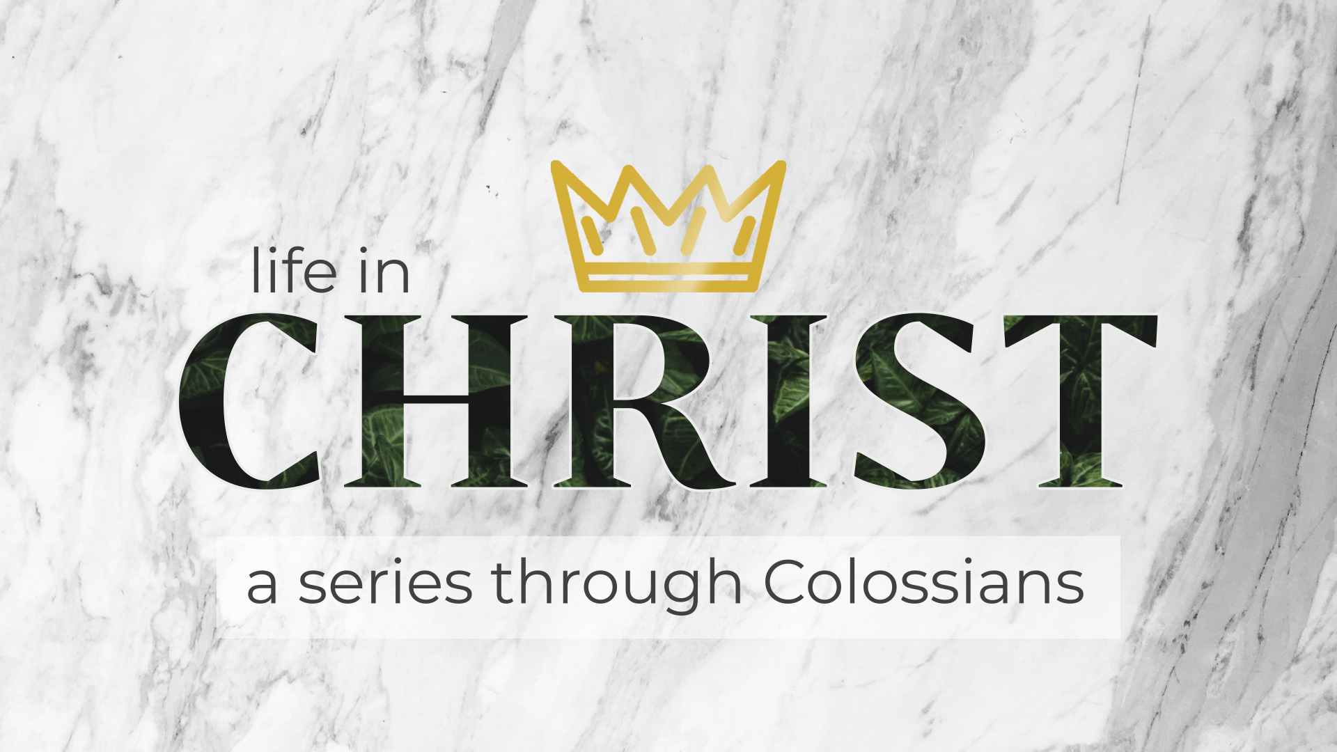 Life in Christ banner