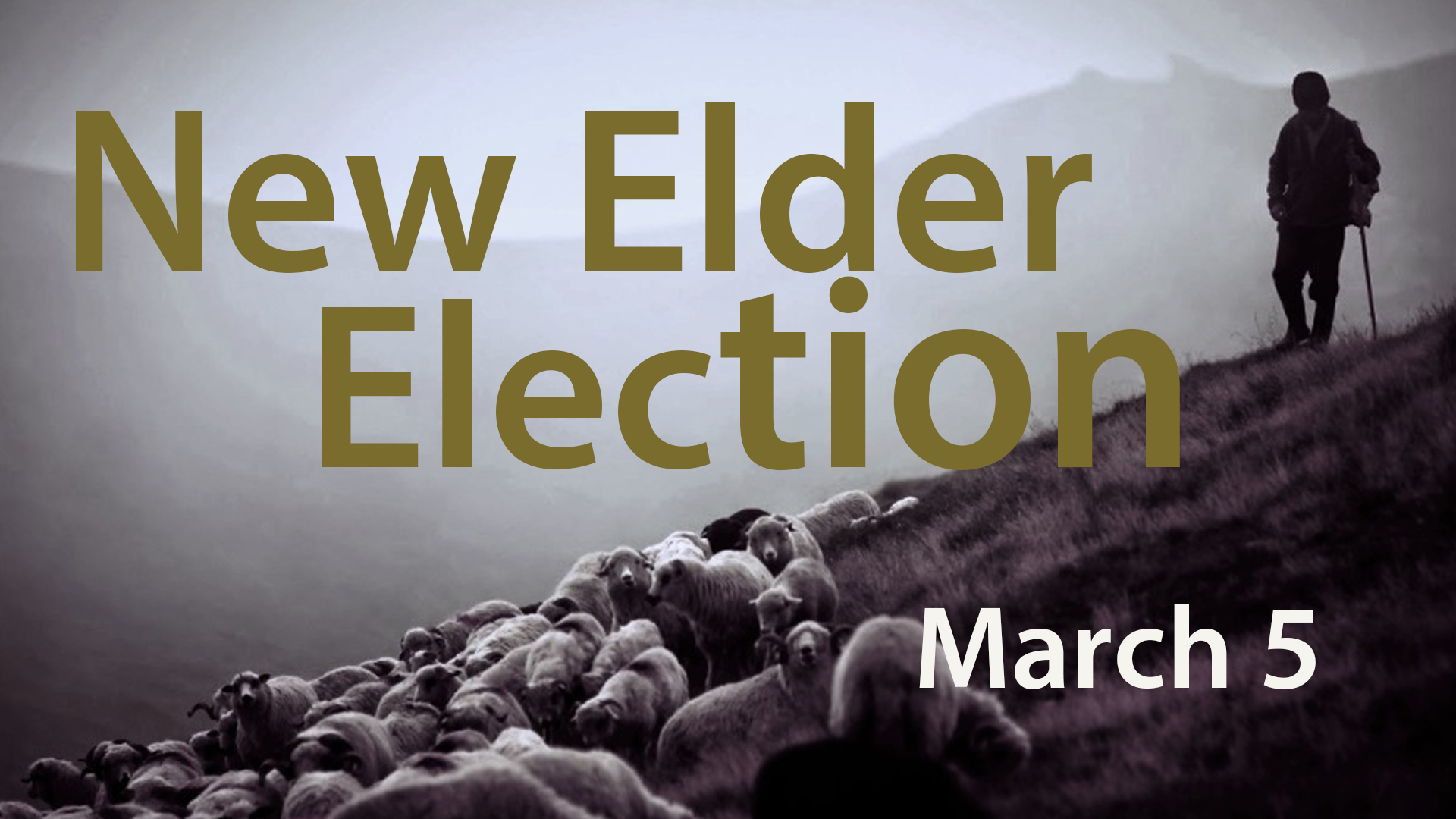 elder election_slide image