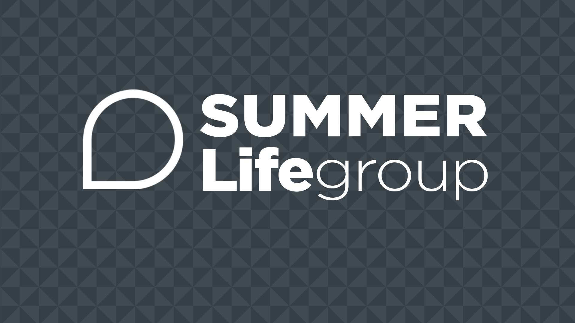 summer life group 2019_slide3 image