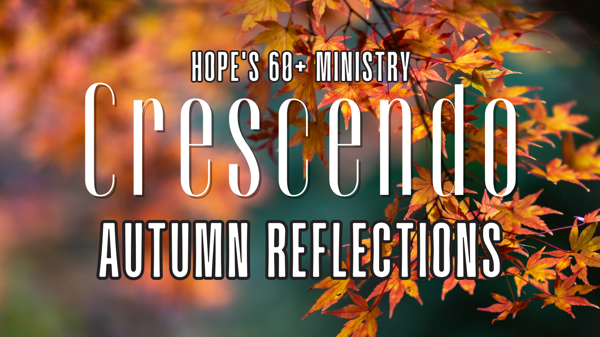 Crescendo Weekly OCT