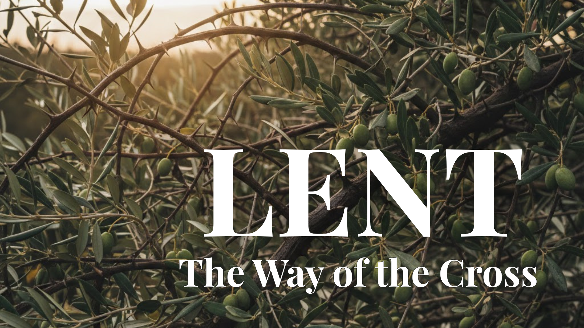 LENT 2026: The Way of the Cross banner