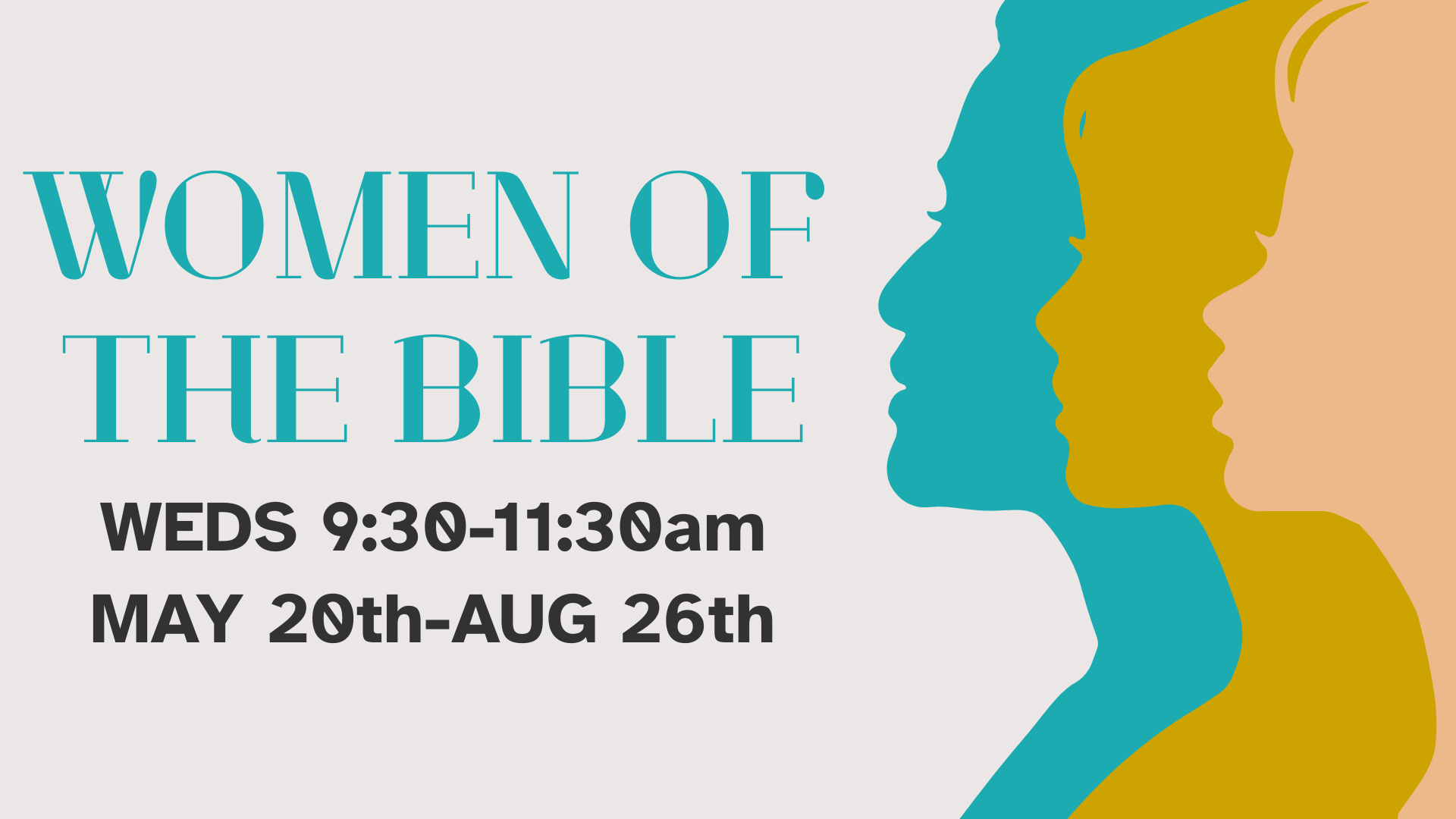 Womens summer Book Study (1)