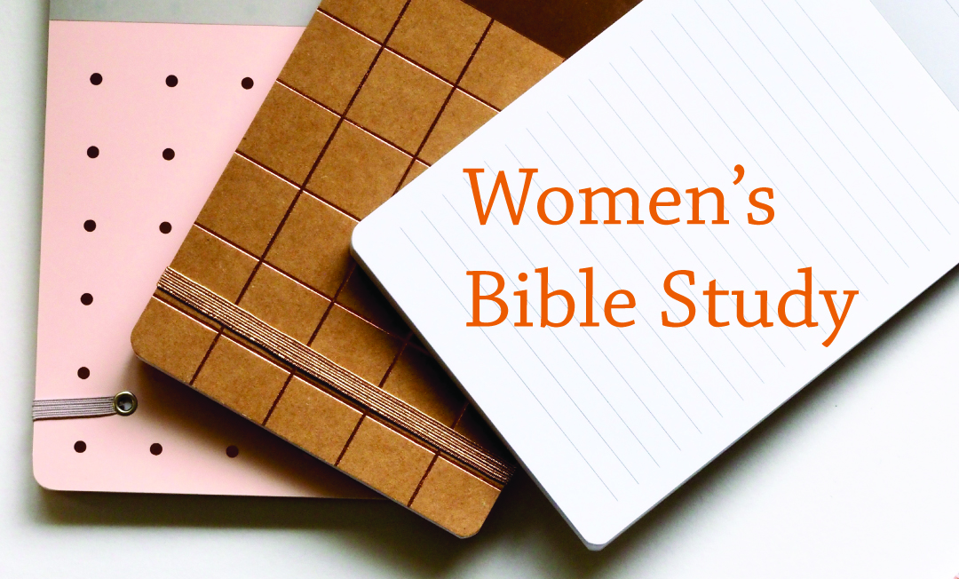womensbiblestudy image