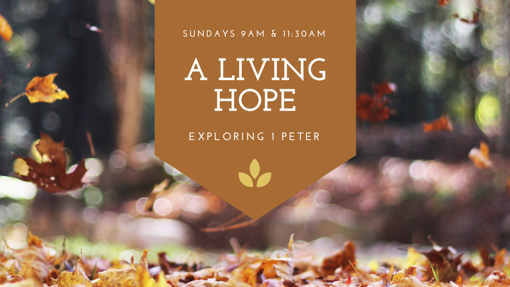 A Living Hope banner