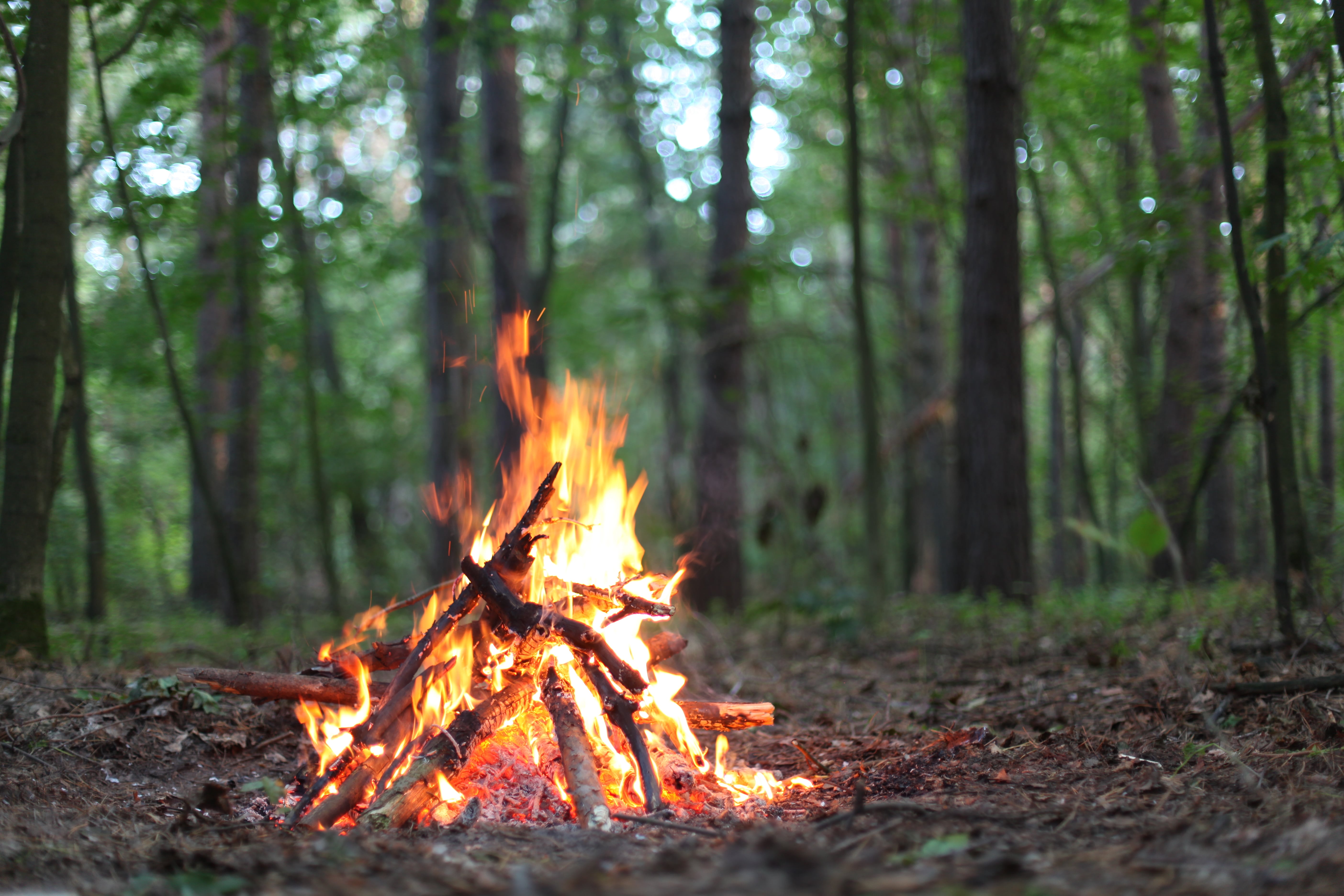 campfire image