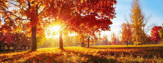 fall scene image