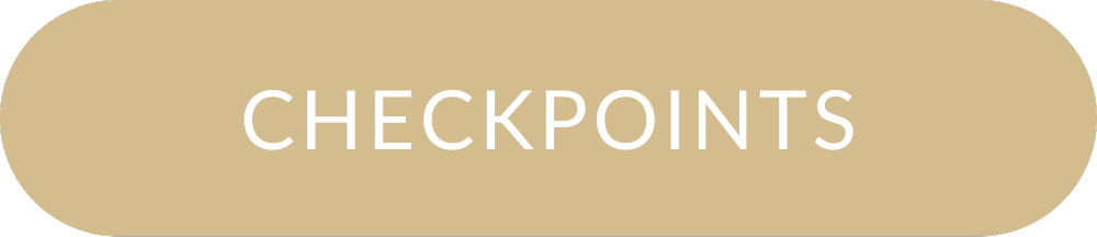 Checkpoints Button Small