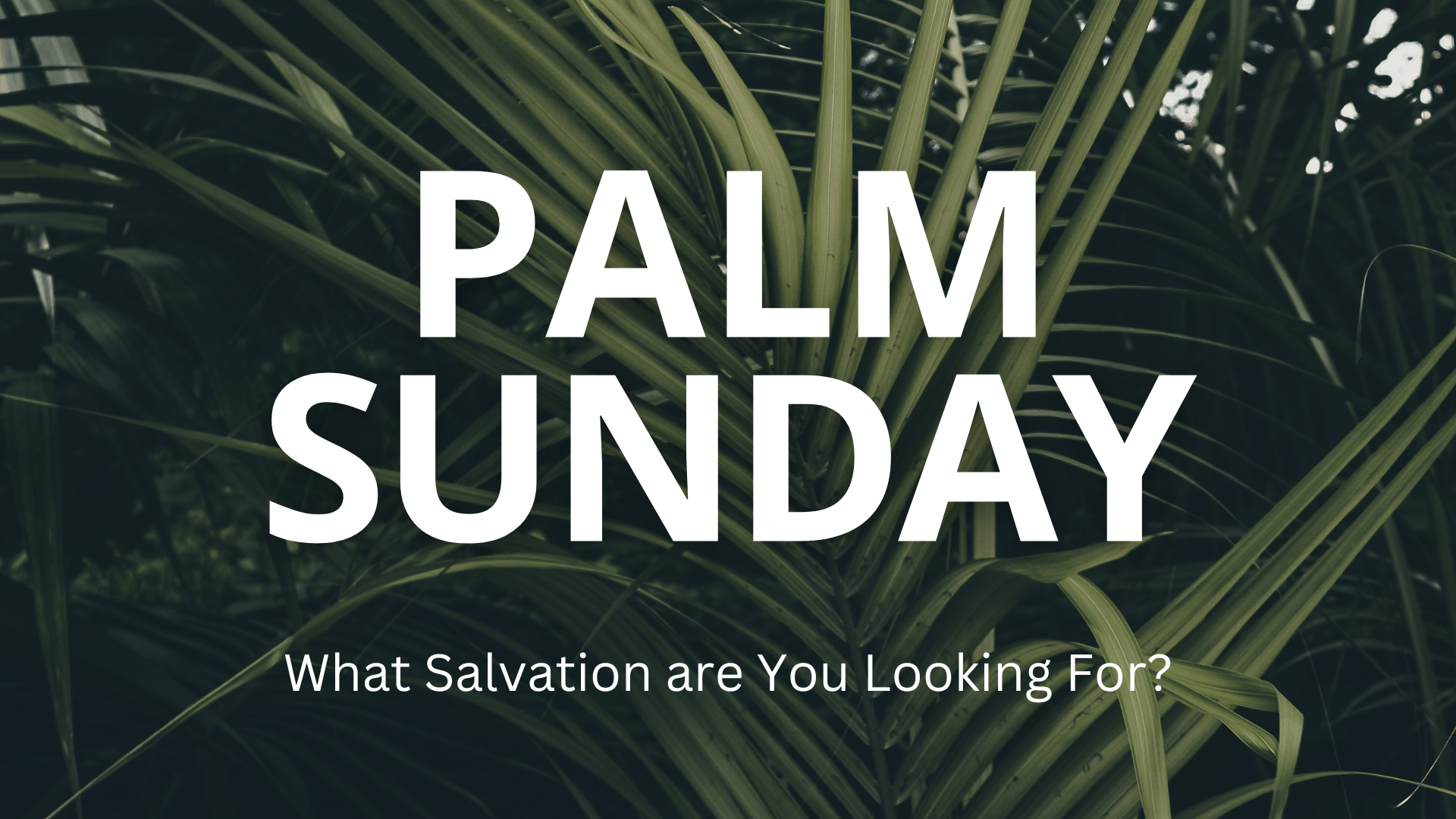 Palm Sunday 2023 banner