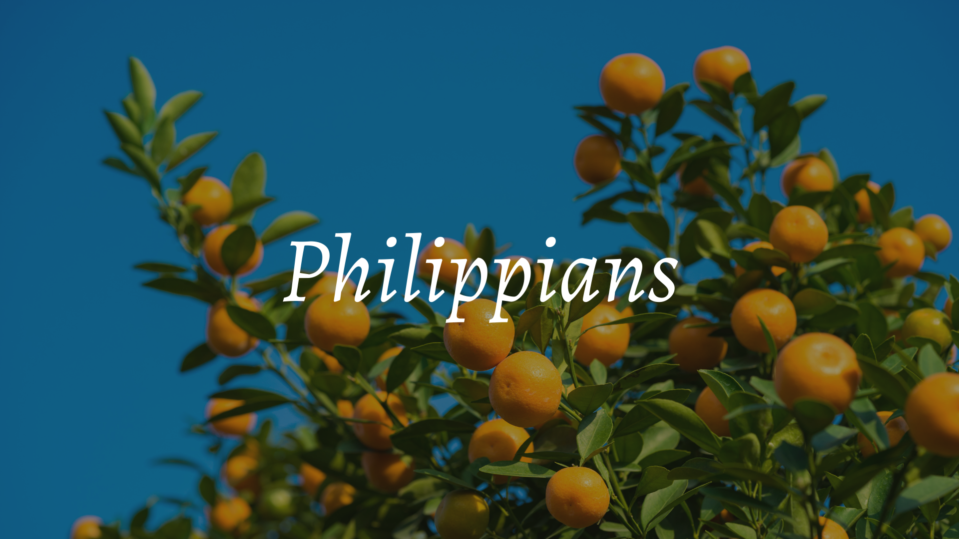 Philippians banner