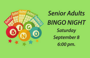 Seniors Bingo Night image