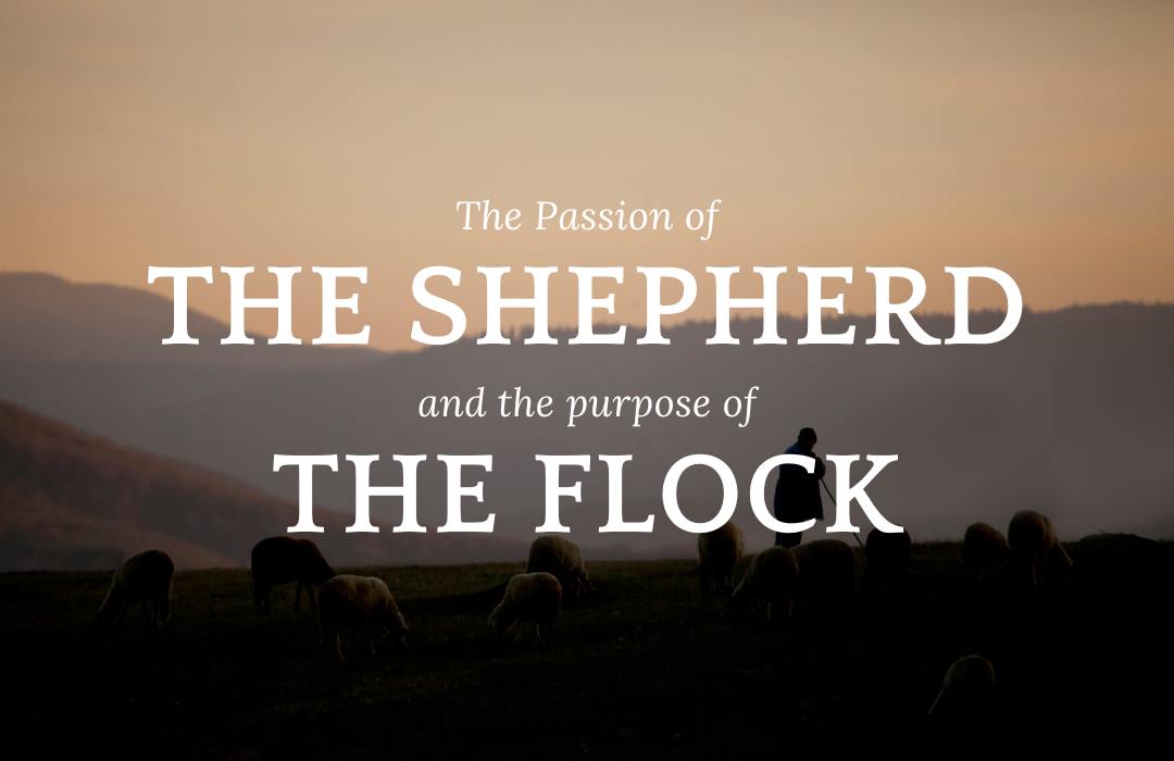 The Passion of the Shepherd & the Purpose of the Flock banner