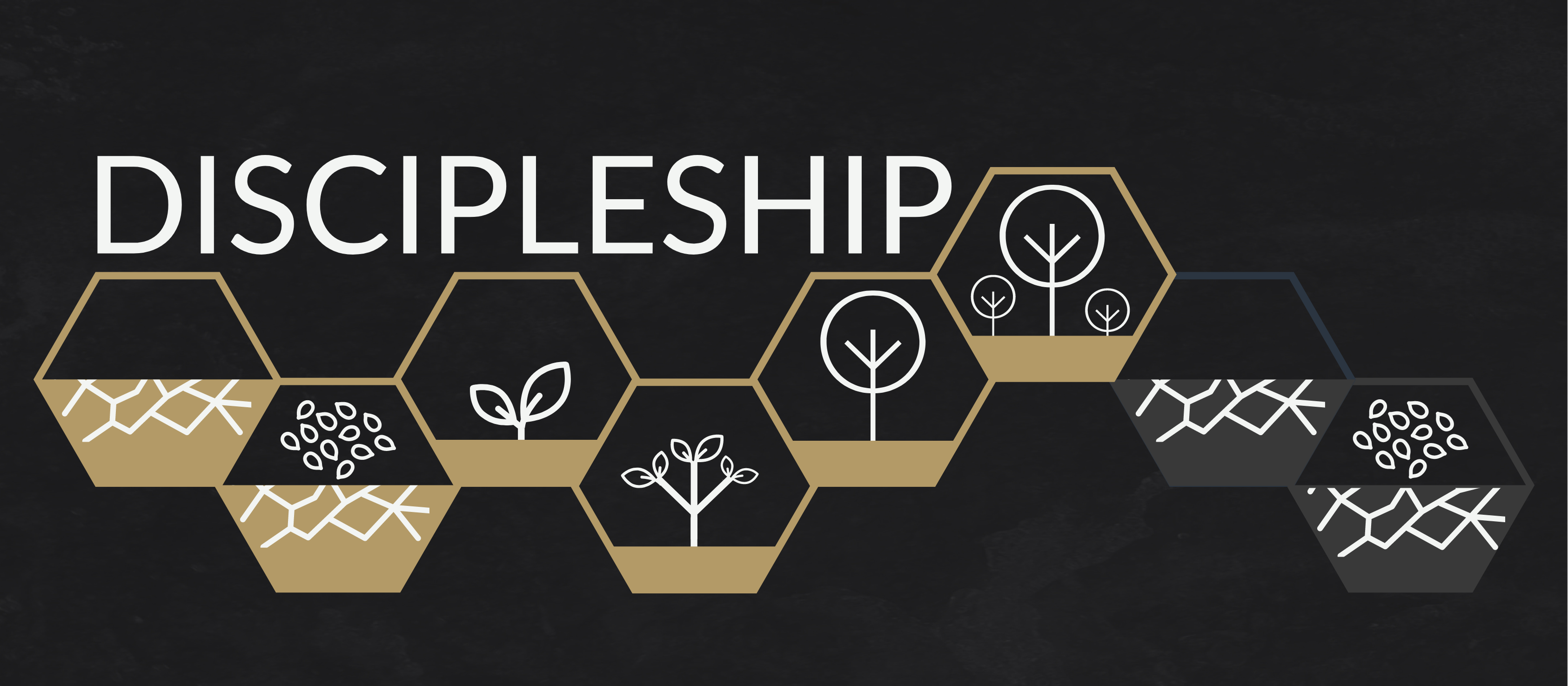 The Aim of Discipleship