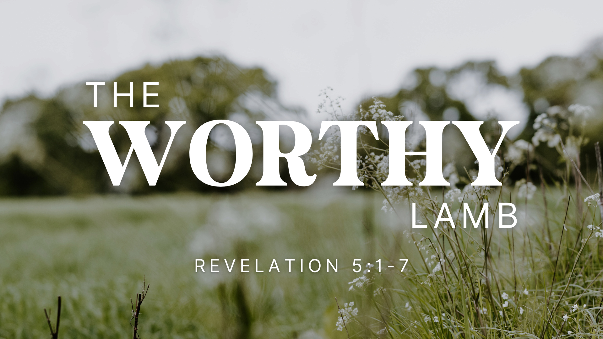 The Worthy Lamb banner