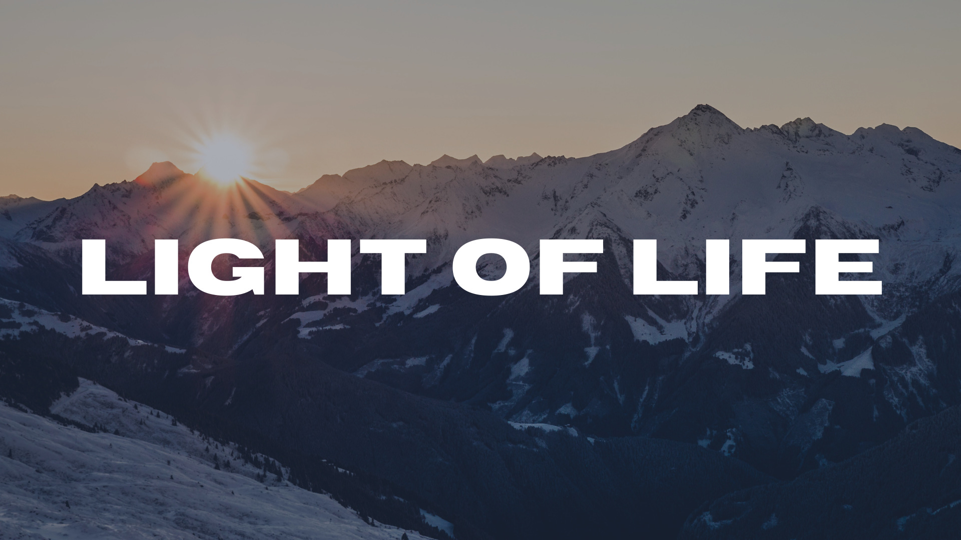 Light of Life banner