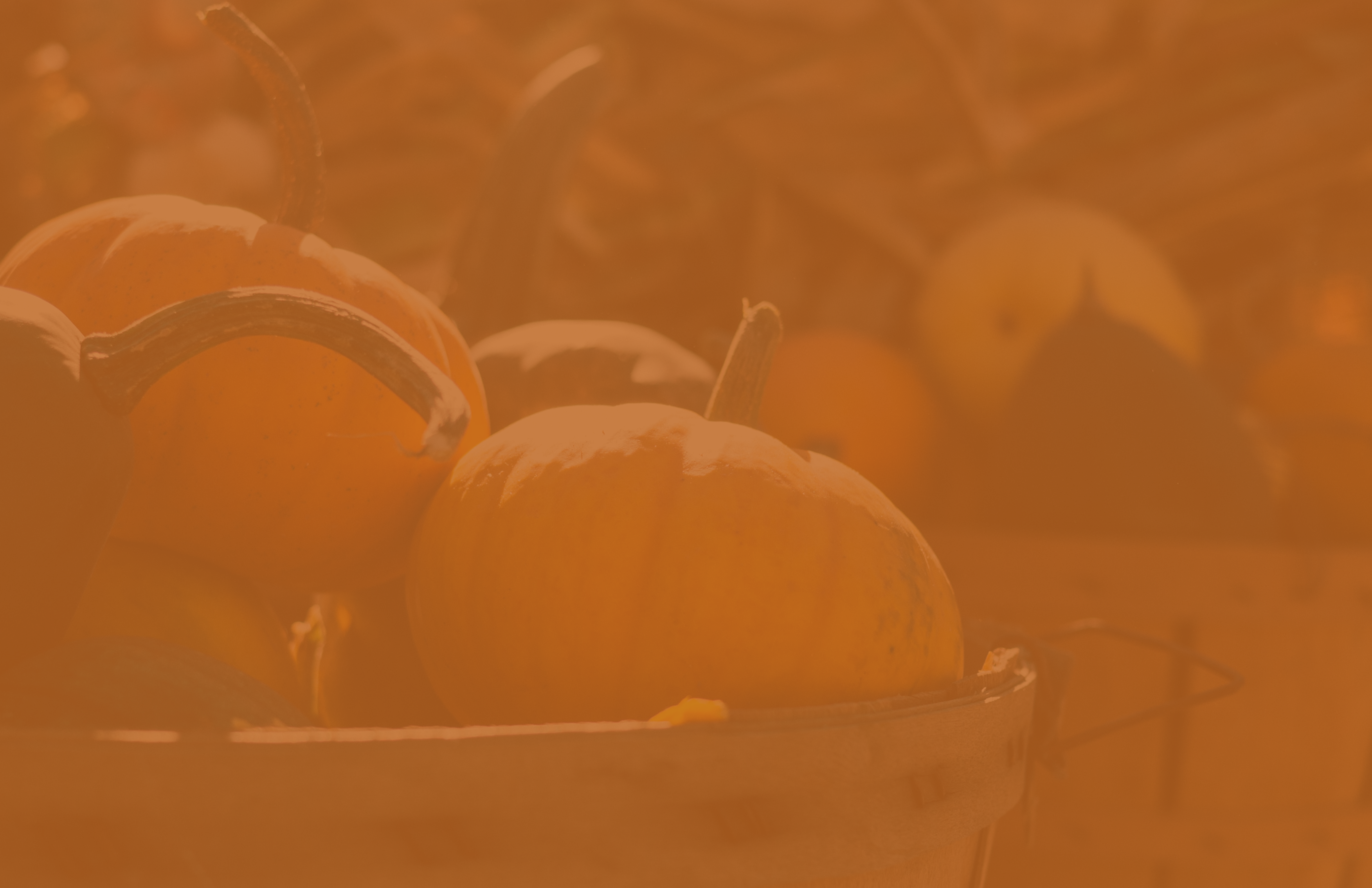 Fall Family Fun image
