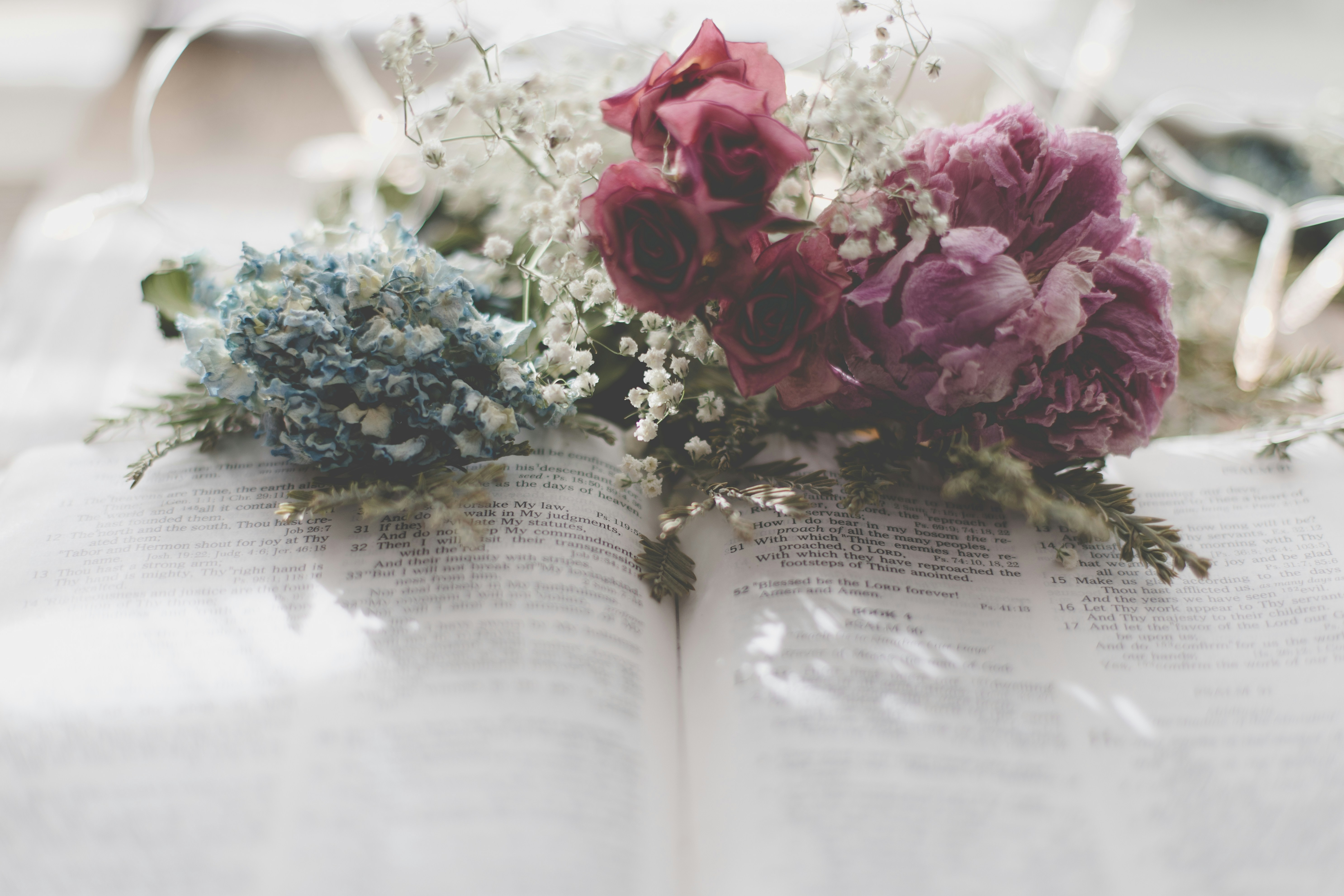 sixteen-miles-out-L-84XbfHtOk-unsplash