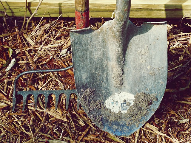 shovel-1867123_640 image