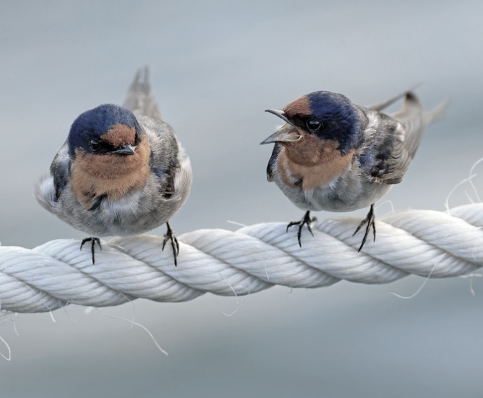 david-clode-VYEBlG63bwc-unsplash