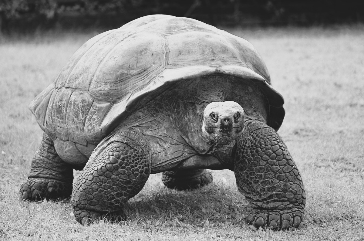 dusan-veverkolog-_NgSXe2cJPk-unsplash