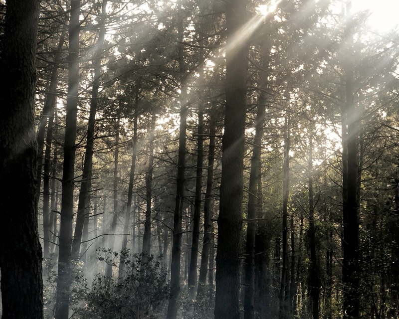 elif-kurt--Kl1iTLxHuM-unsplash