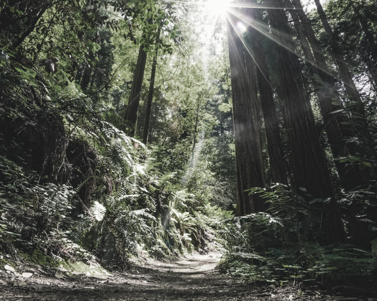eric-ward-wejhq4J-UNo-unsplash