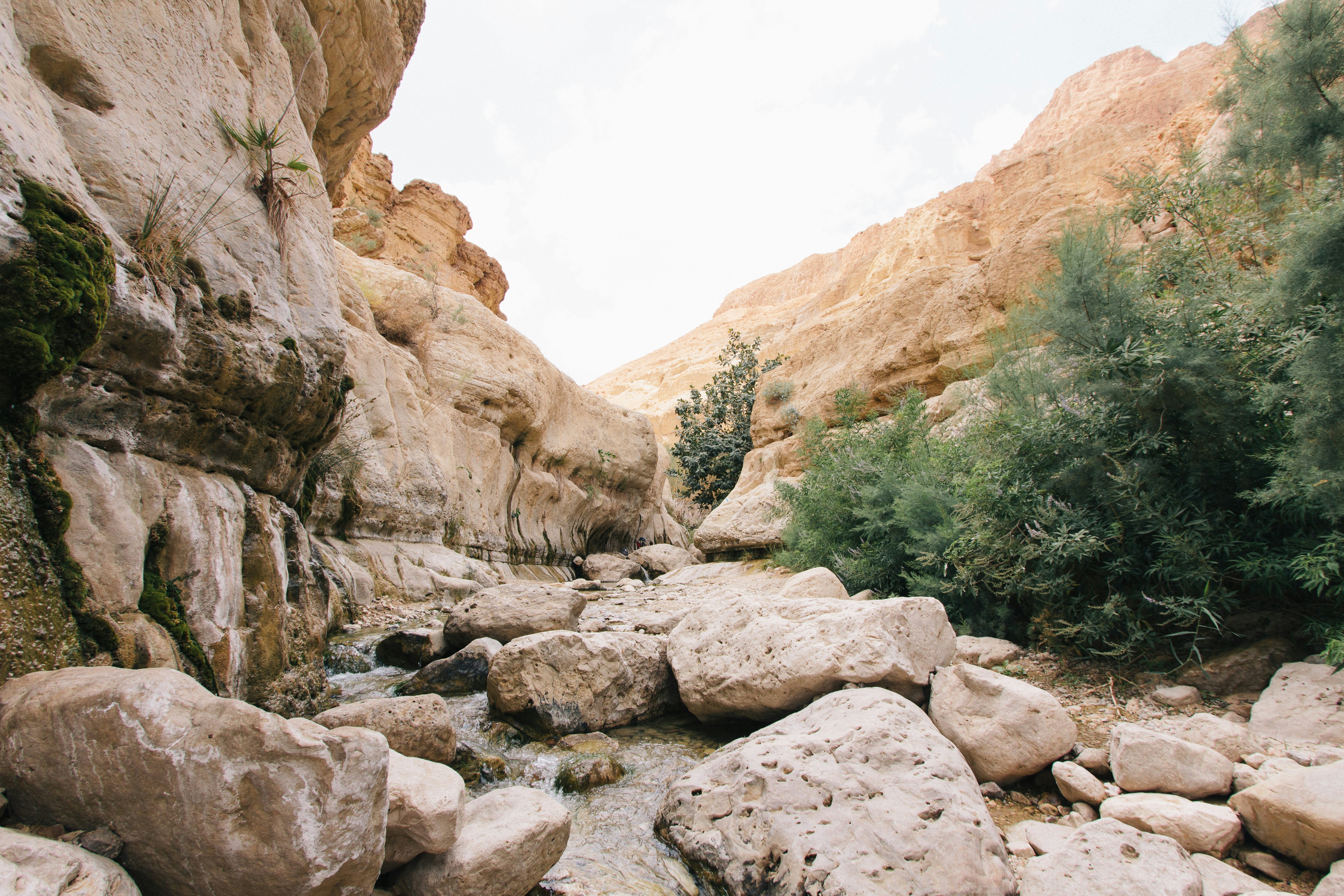 israel-robert-bye-VkZuNpXxdIg-unsplash