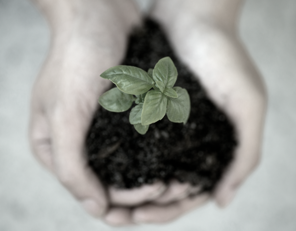 jennifer-delmarre-IqmuHJF5khU-unsplash