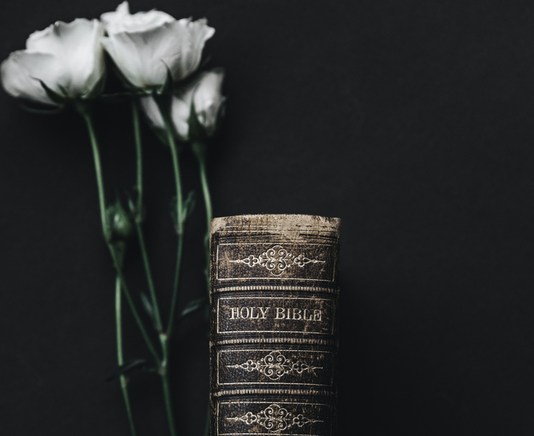 nathan-dumlao-1xwVMnEiyKY-unsplash