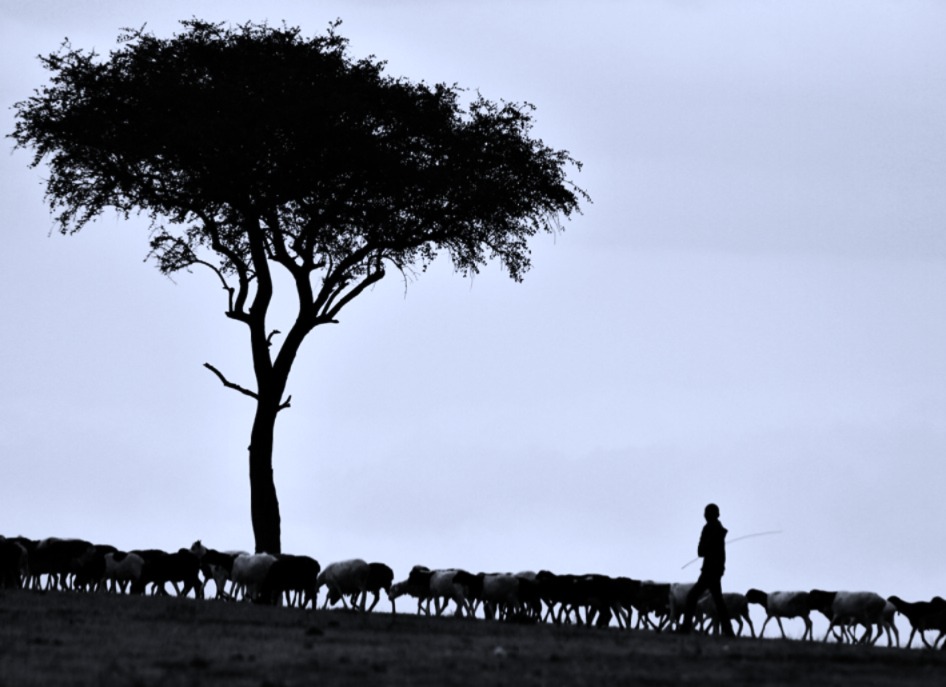 pawan-sharma-vt2efWhbs-E-unsplash