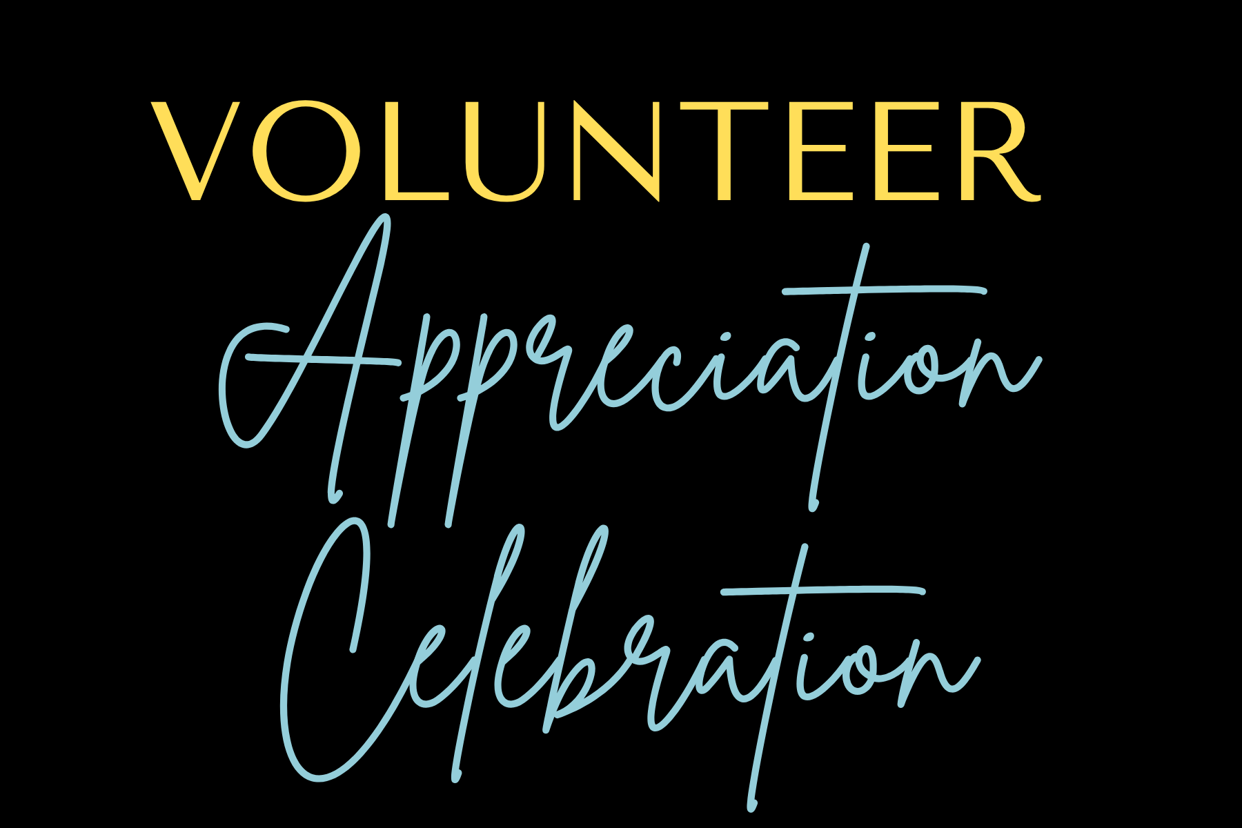 Volunteer Appreciation Invitation (3)
