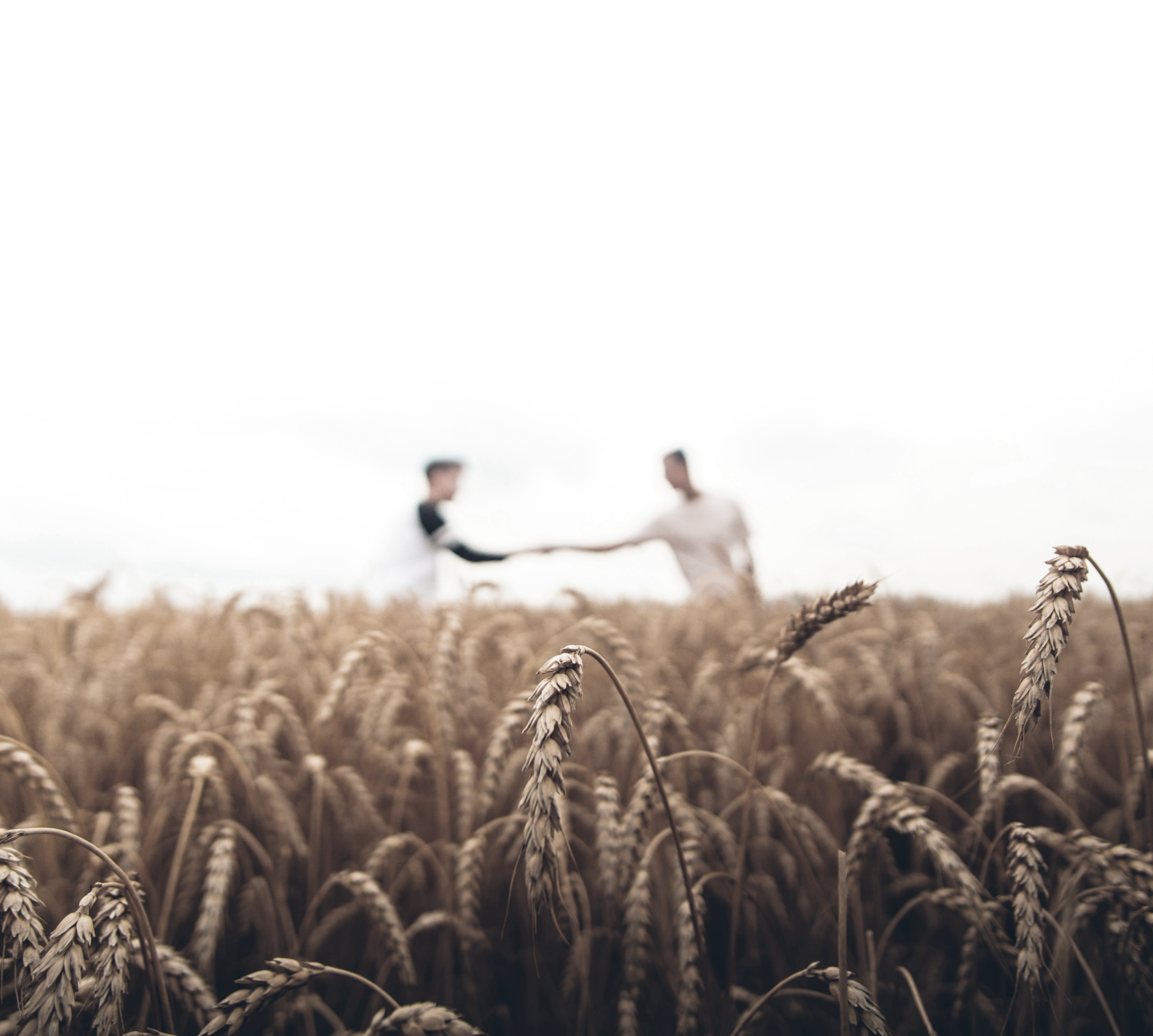 warren-J33qmCVr02A-unsplash