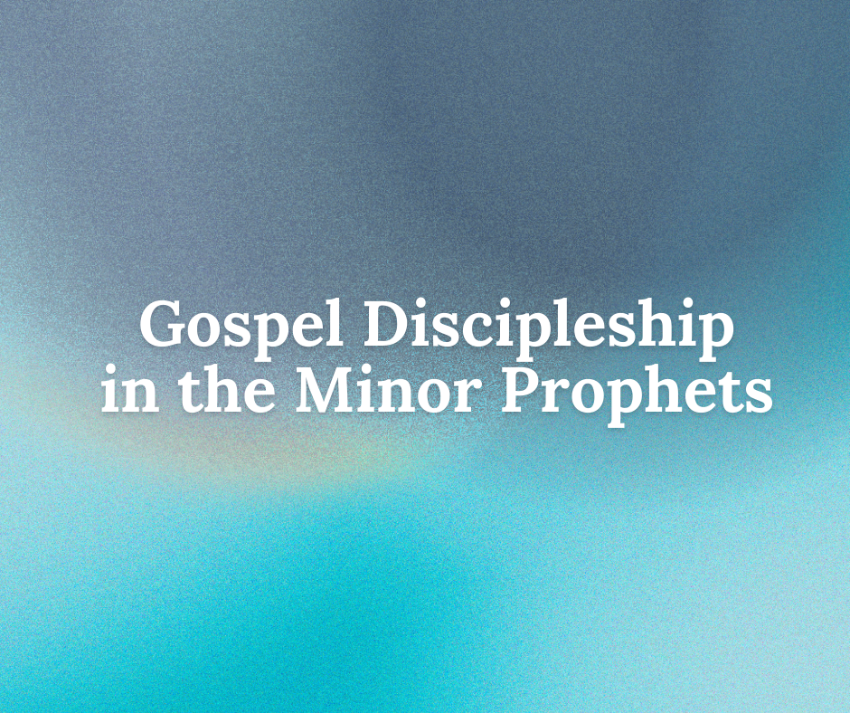 Gospel Discipleship in the Minor Prophets banner