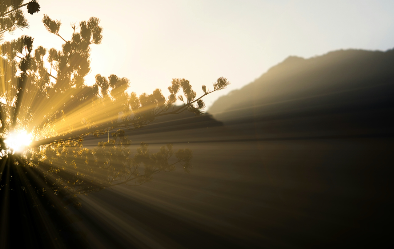 thomas-kinto-K9WKqYj55E0-unsplash