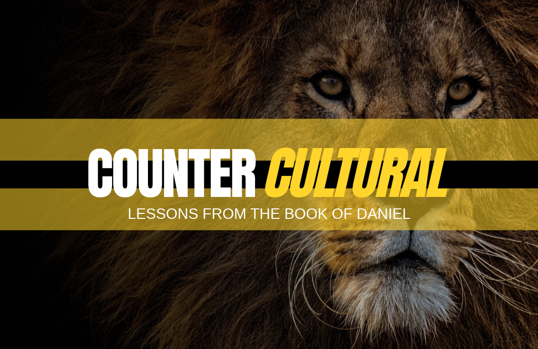 Counter Cultural  series image