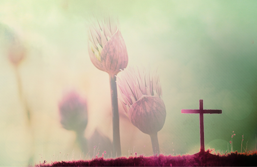 Divine Embrace Featured Event