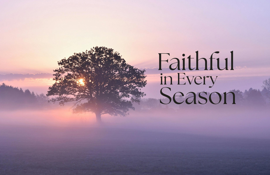 Faithful In Every Season series image