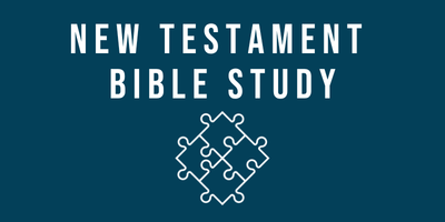 new testament bible study
