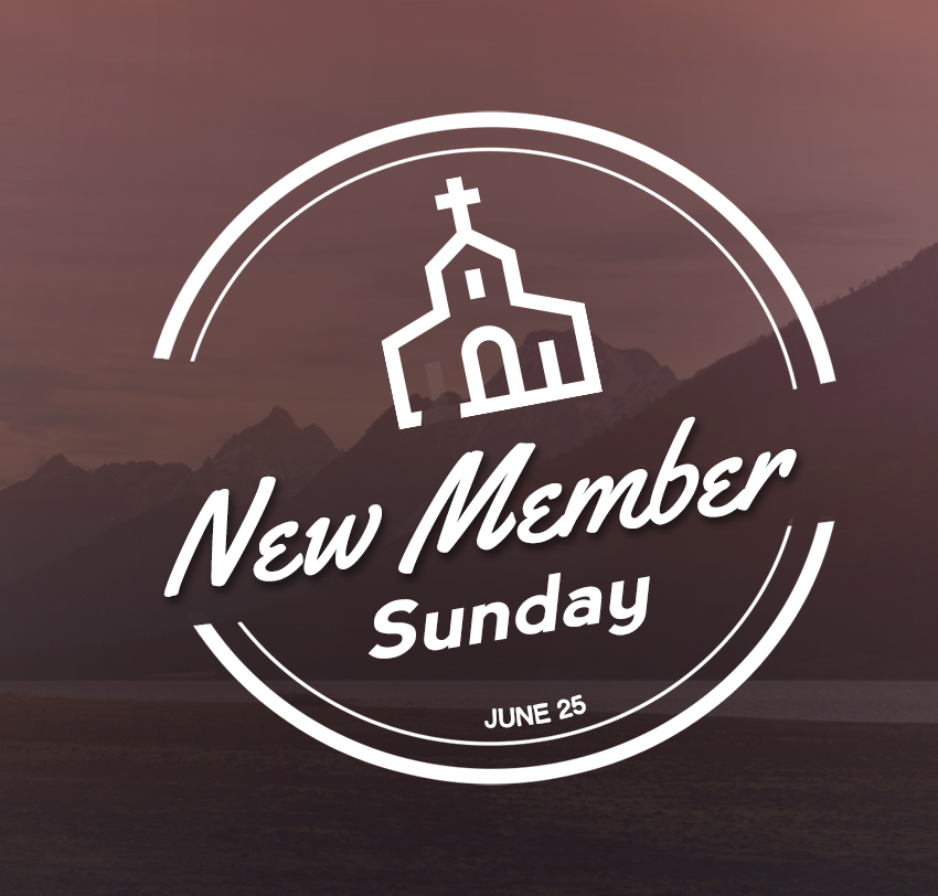 New Member Sunday June 25 2017 image