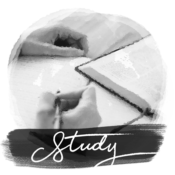 Study_Icon image