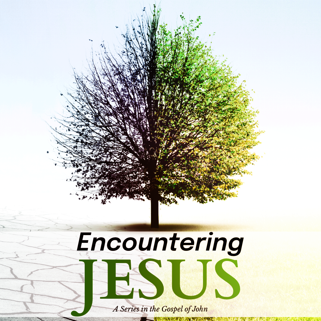 Encountering Jesus - A Series in the Gospel of John (John 1-12) banner