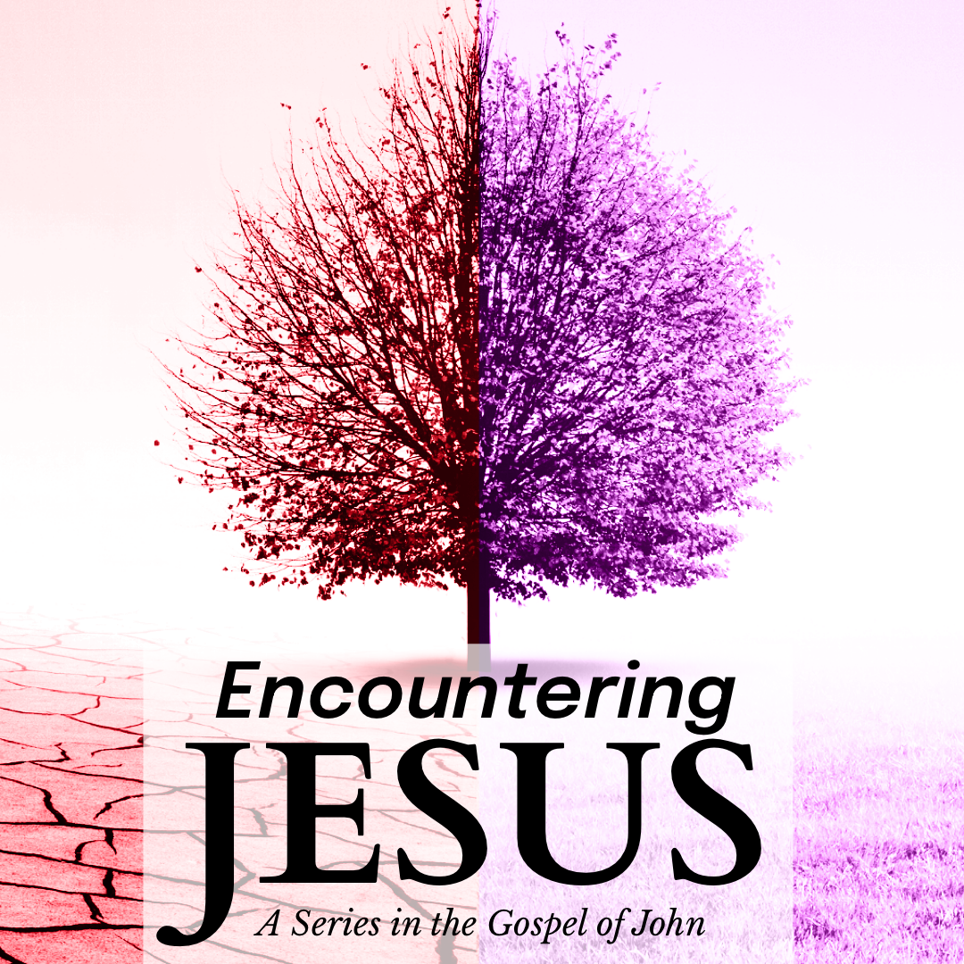 Encountering Jesus - A Series in the Gospel of John (John 1-12) banner