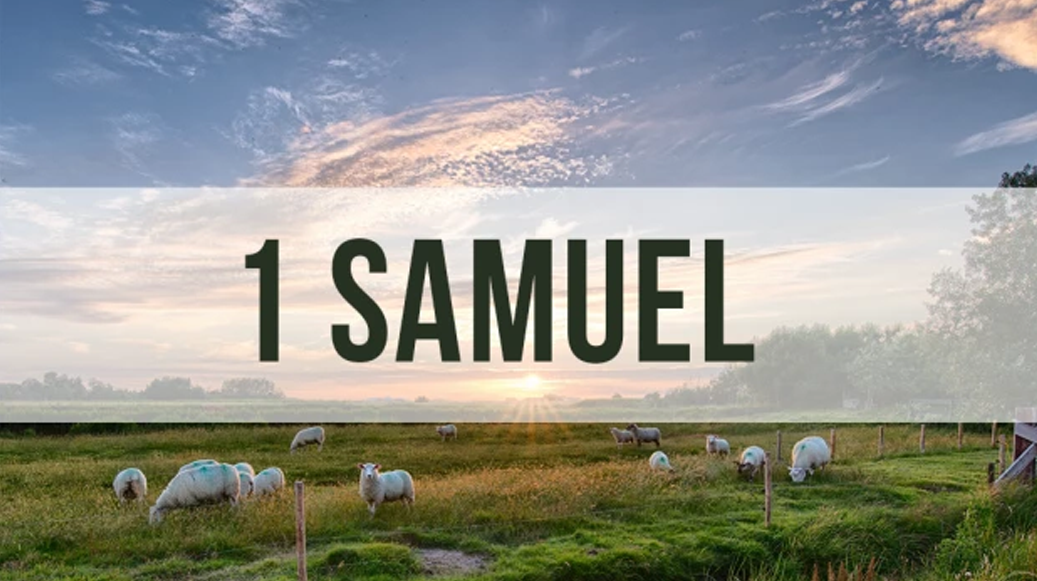 1 Samuel banner