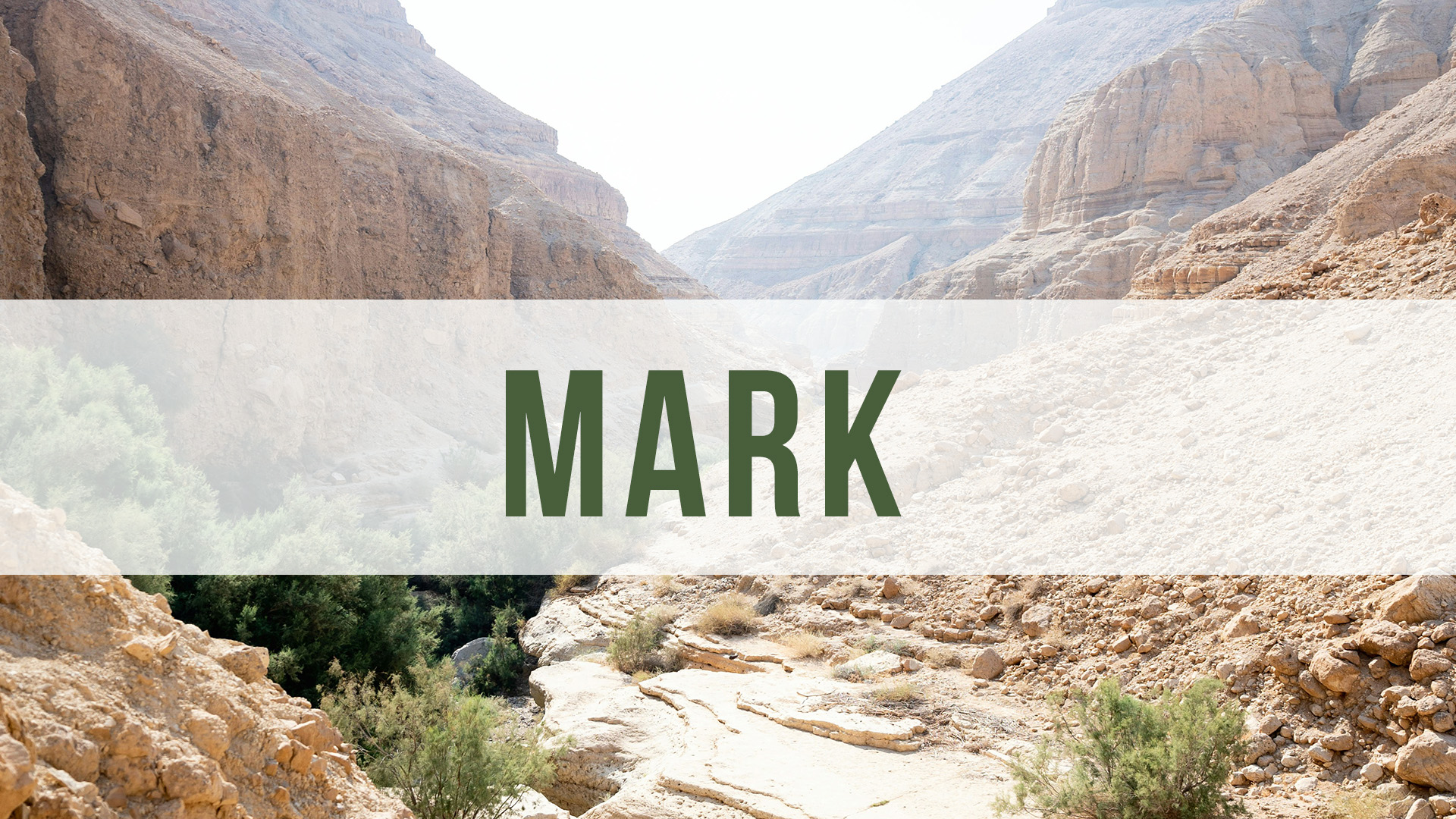 Mark banner