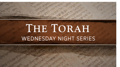 Torah_inset-graphic.PNG