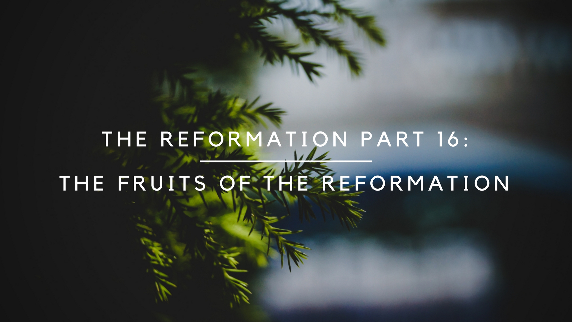 Reformation Part 16