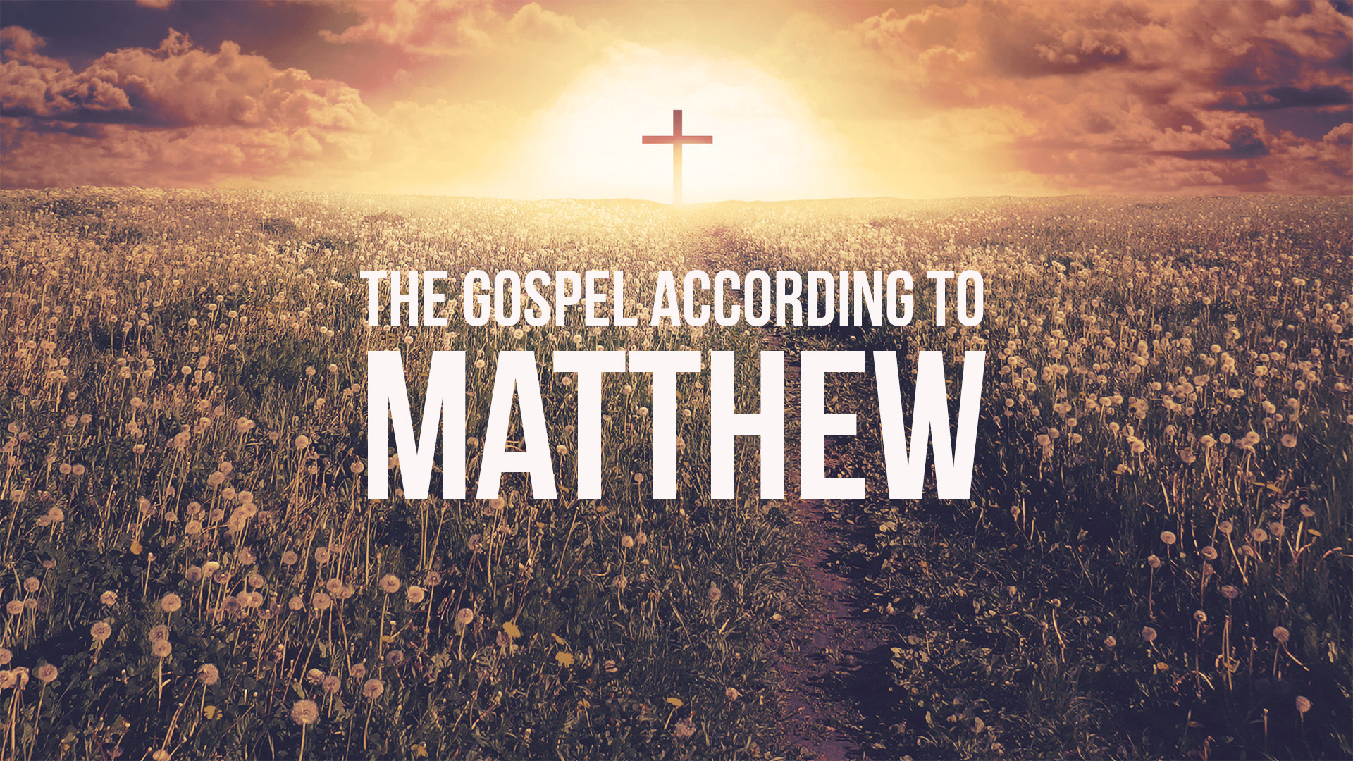 The Gospel According To Matthew banner
