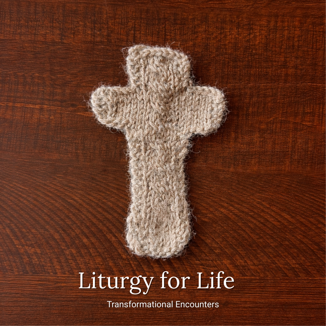 Liturgy for Life banner