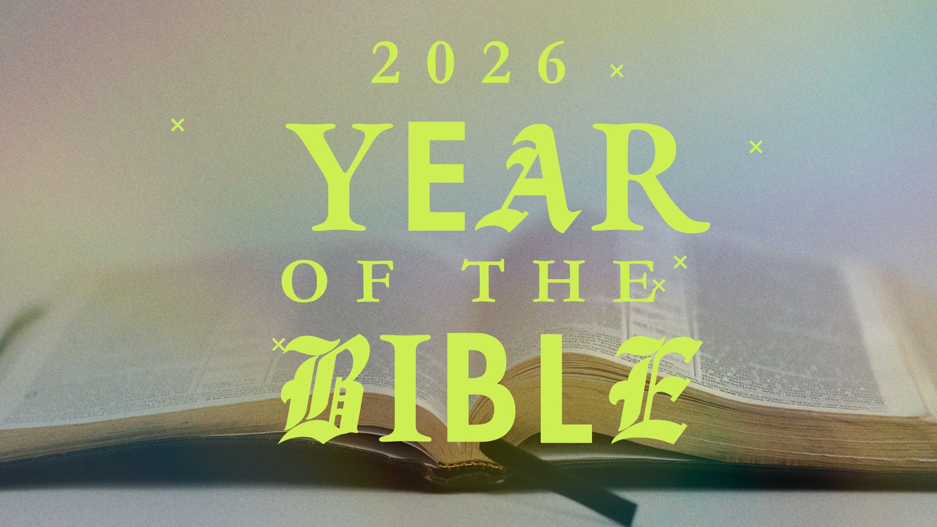 Year of the Bible banner