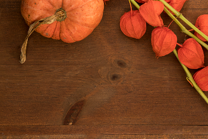 fall-pumpkins_9JJEXF75P2 image